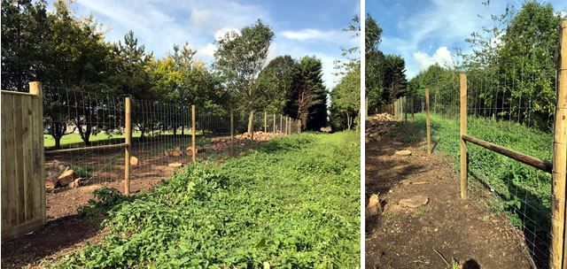 Deer fencing in Bicester, Oxfordshire